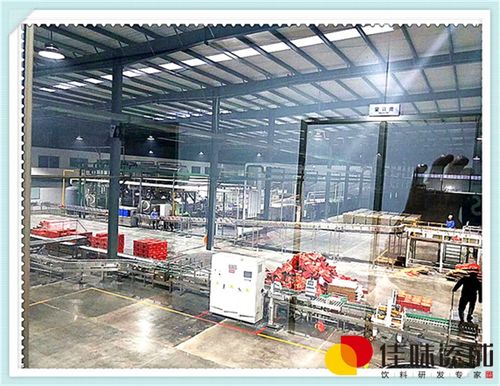 蘆薈運動保健飲料的配方開發、技術咨詢與轉讓全解析